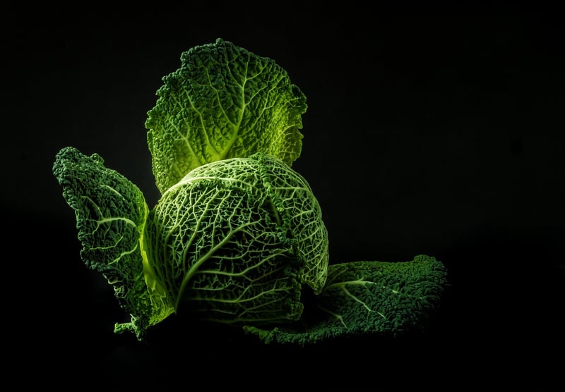 Healthy Food